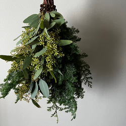 生の針葉樹たっぷり~モミの木入り~フレッシュクリスマススワッグ