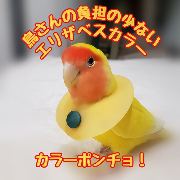 インコ エリザベスカラー(ポンチョタイプ)1枚・3サイズ・3色・3g 1枚目の画像