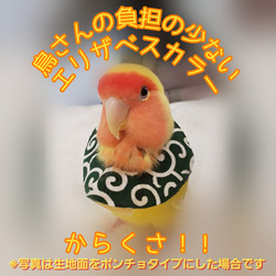 インコ エリザベスカラー(唐草模様)1枚・3サイズ・緑or赤・4g 1枚目の画像