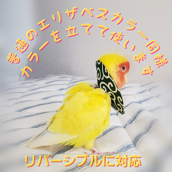 インコ エリザベスカラー(唐草模様)1枚・3サイズ・緑or赤・4g 2枚目の画像