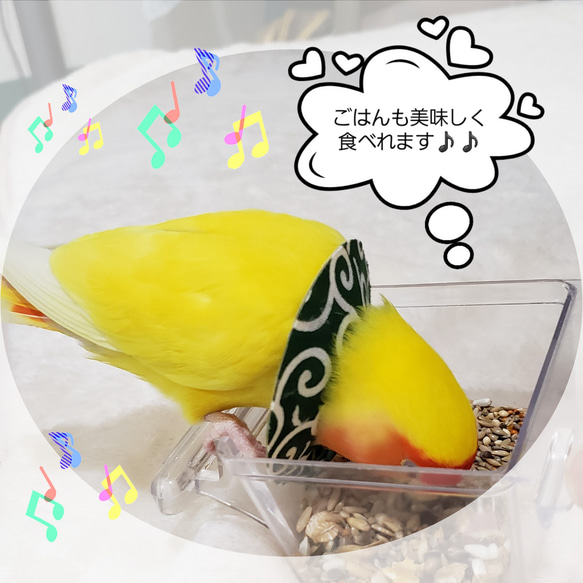 インコ エリザベスカラー(唐草模様)1枚・3サイズ・緑or赤・4g 4枚目の画像