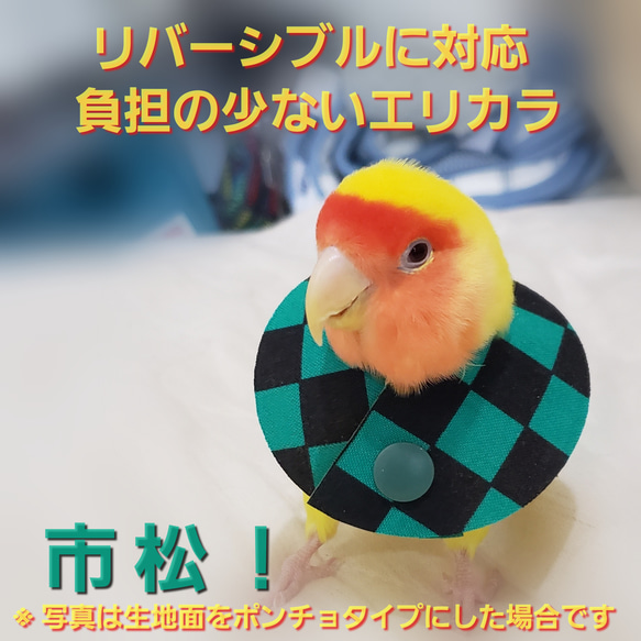 インコ エリザベスカラー(市松模様)1枚・3サイズ・4g おもちゃ・ペット