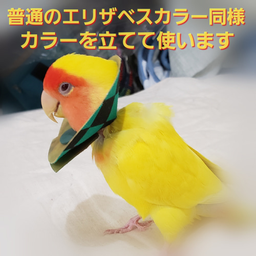 インコ エリザベスカラー(市松模様)1枚・3サイズ・4g おもちゃ