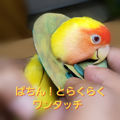 鳥 エリザベスカラー(ポンチョタイプ) 1枚・3サイズ・3色・3g