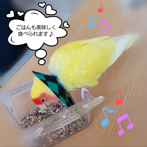 インコ エリザベスカラー(市松模様)1枚・3サイズ・4g おもちゃ
