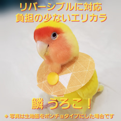 インコ エリザベスカラー(ポンチョタイプ)1枚・3サイズ・3色・3g