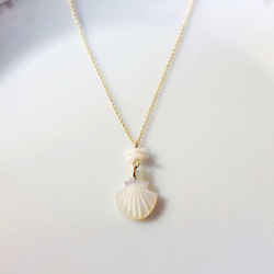 White Shell × White Coral 2枚目の画像