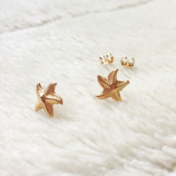 Hawaiian post～starfish* 3枚目の画像