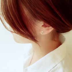 ·Nakayoshi·Pierce B. 第3張的照片