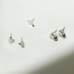 transparency・肌  pierce A (１点物) 3枚目の画像