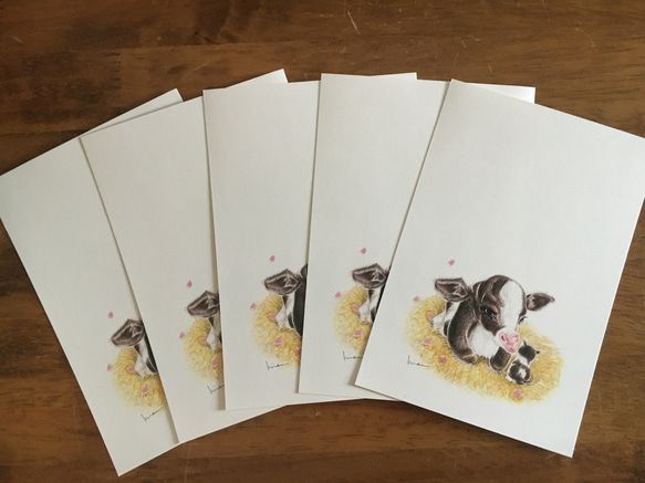 販売終了　送料無料　手書き文字入れ可能（無料） 2021お年玉くじ付き年賀はがき　可愛い子牛と子猫　5枚　 3枚目の画像