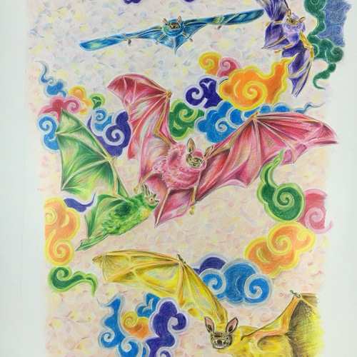蝙蝠 コウモリ 白 蚕 創作 珍獣 動物 原画 アート 絵画 画家 インテリア 蝙蝠 コウモリ 白 蚕 創作 珍獣 動物 原画 アート 絵画 画家