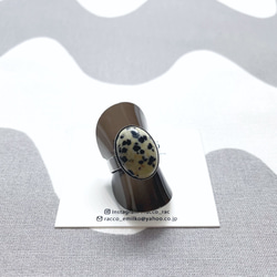 oval stainless ring 天然石 ダルメシアンジャス18×13mm オーバルカボションリング サイズフリー 1枚目の画像