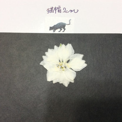 チドリソウの押し花素材(濃いブルーと淡いブルーとホワイト) 3枚目の画像