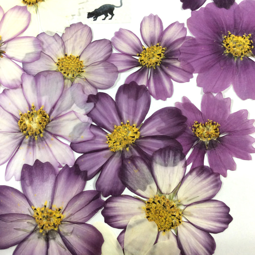 コスモス様ご確認用ページ レジンで写真チャーム オーダー品 コスモス