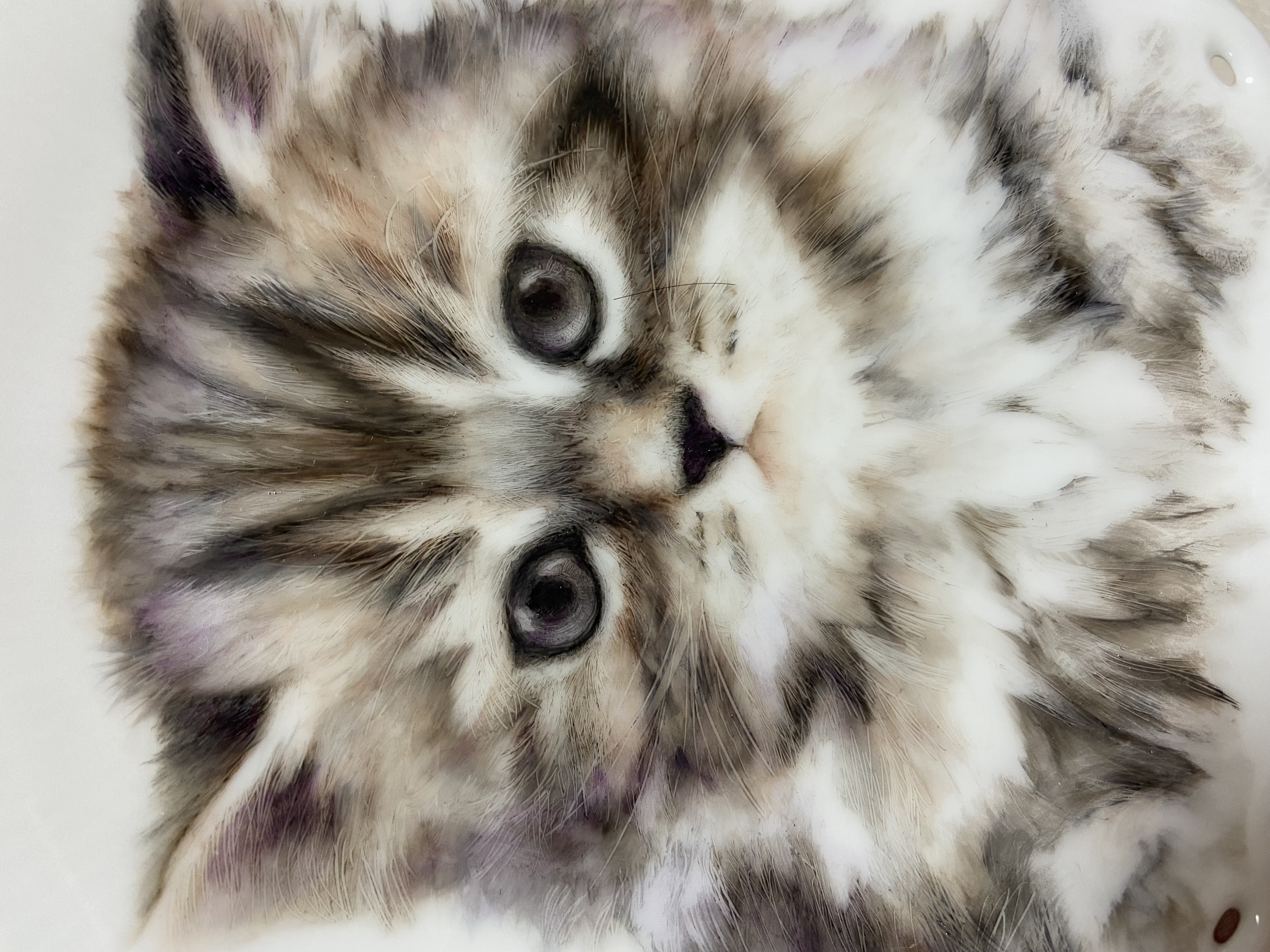 デンマーク　動物絵皿・猫