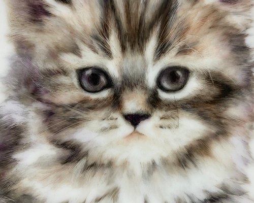 猫 絵画 オーダー 猫の絵 255 水彩画 原画 茶トラ｜Yahoo!フリマ（旧PayPayフリマ）