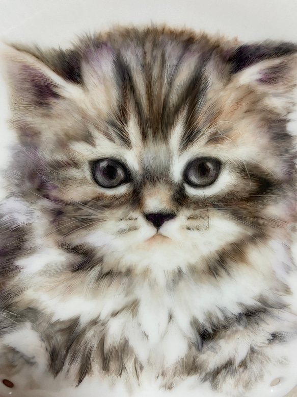 絵皿　陶器　イラストオーダー　猫　ペット　家族 1枚目の画像