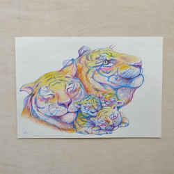 色鉛筆画　F4サイズ 画用紙　虎　寅　Tiger 2枚目の画像