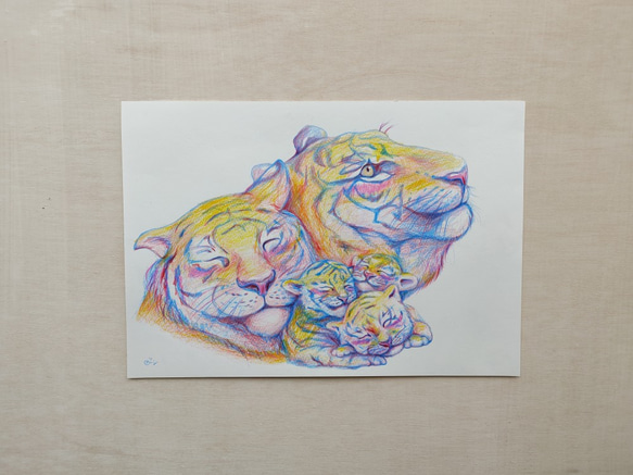 色鉛筆画　F4サイズ 画用紙　虎　寅　Tiger 2枚目の画像