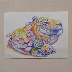 色鉛筆画　F4サイズ 画用紙　虎　寅　Tiger 3枚目の画像