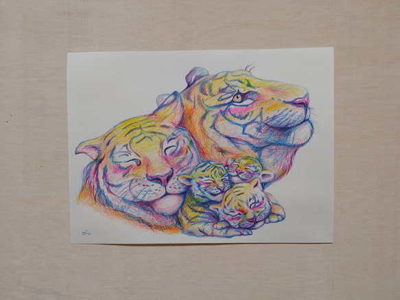 色鉛筆画　F4サイズ 画用紙　虎　寅　Tiger 3枚目の画像