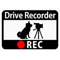 ドライブレコーダー搭載マグネットステッカー「柴わんことビデオカメラ」 (再剥離ステッカー) s26r 1枚目の画像