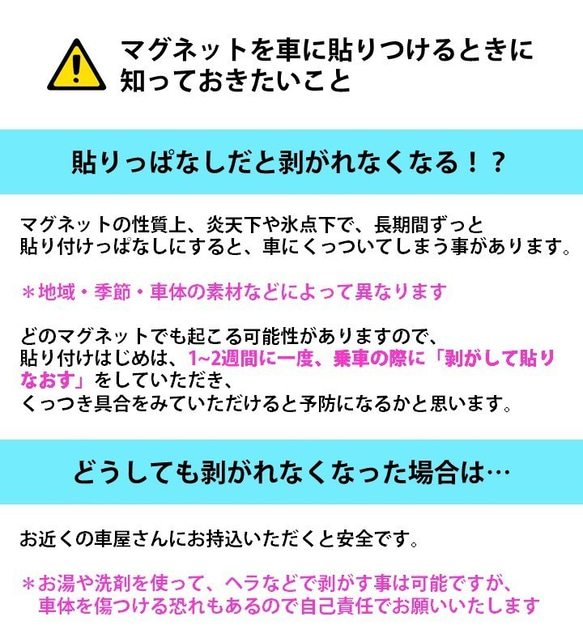 ドライブレコーダー搭載ステッカー「蝶とカメラ」 (マグネット) s52 5枚目の画像