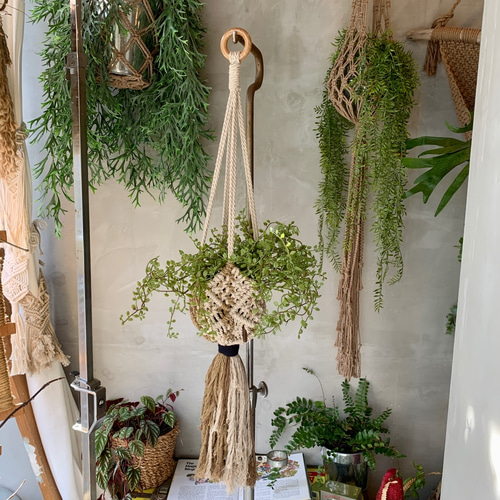 かんかん ハンギングスタンド 額縁プランター ハンギングスタンド