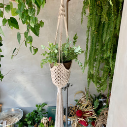 HANGING PLANTER ハンギングプランター 1枚目の画像