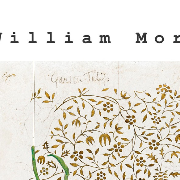 ウィリアムモリス Garden Tulip / アートポスター William Morris A3 縦長 チューリップ 3枚目の画像