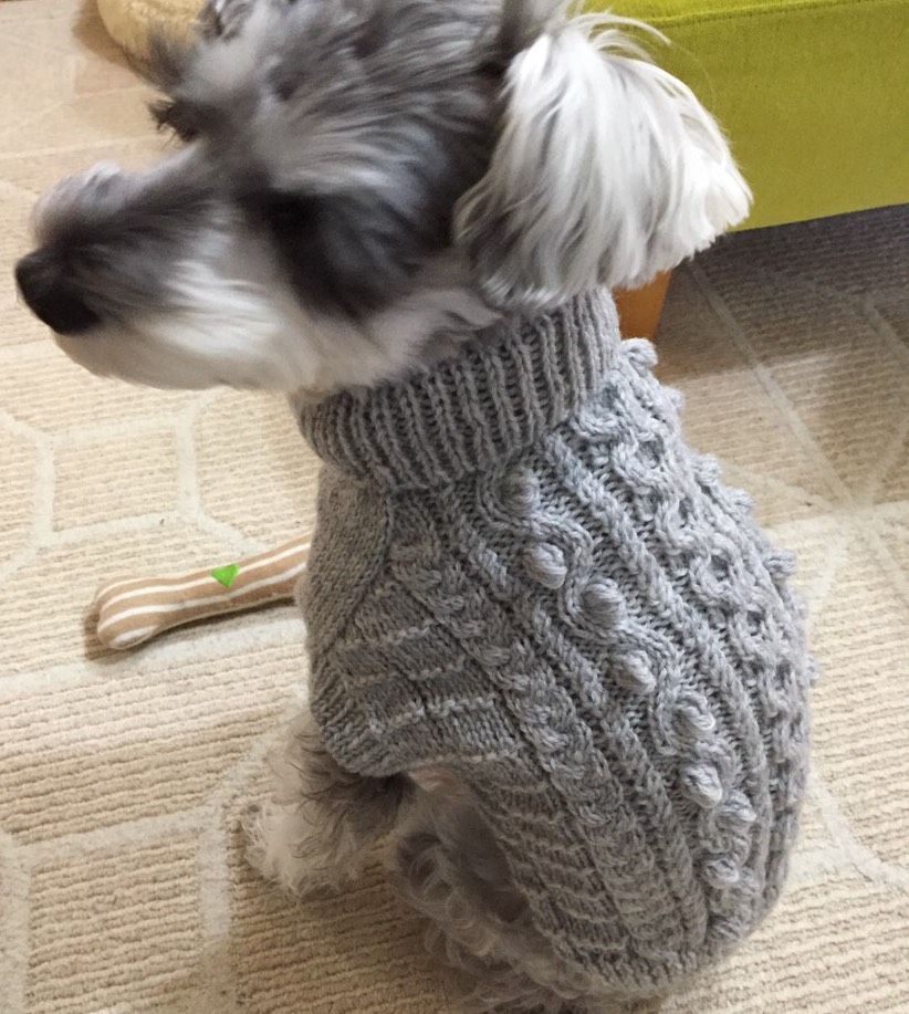 ⑮確認用ページ　リブ　アラン風ニット　犬服ハンドメイド