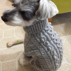 送料無料です☆シュナさんトイプードルさんのためのアランニット 犬の