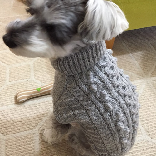 送料無料です☆シュナさんトイプードルさんのためのアランニット 犬の