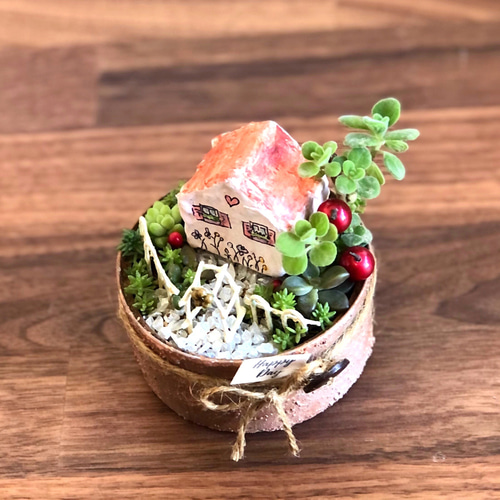 ♡そのまま飾れる♡箱庭風♡多肉植物寄せ植え (* ́ν`*) 多肉植物