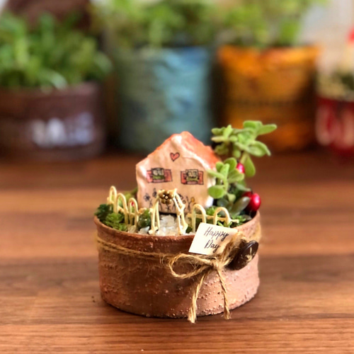 ♡そのまま飾れる♡箱庭風♡多肉植物寄せ植え (* ́ν`*) 多肉植物