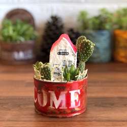 ☆そのまま飾れる☆リメ缶☆箱庭☆多肉植物寄せ植え♬ 多肉植物 tareme