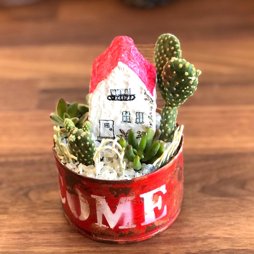 箱庭✿多肉寄せ植え✿そのまま飾れます 多肉植物 寄せ植え そのまま飾れる 箱庭