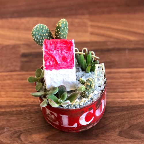 ☆そのまま飾れる☆リメ缶☆箱庭☆多肉植物寄せ植え♬ 多肉植物 tareme