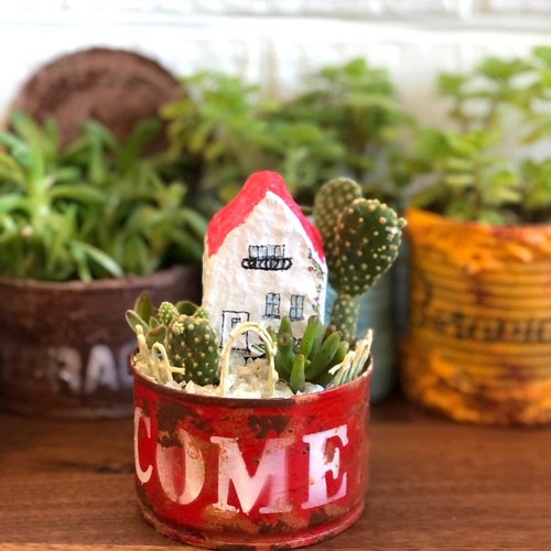 ☆そのまま飾れる☆リメ缶☆箱庭☆多肉植物寄せ植え♬ 多肉植物 tareme