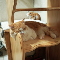 コーラルテラスキャットタワー　猫トイレカバー 3枚目の画像