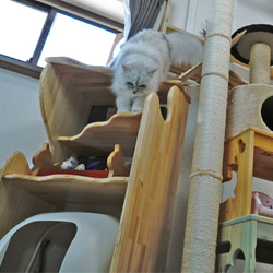 コーラルテラスキャットタワー　猫トイレカバー 8枚目の画像