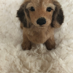 愛犬さんオーダーメイド 羊毛フェルト犬S 羊毛フェルト Miema711