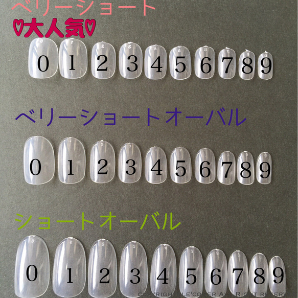 サンプルチップ1〜3種類*送料込* 2枚目の画像