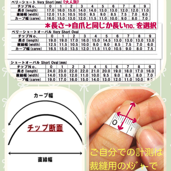 サンプルチップ1〜3種類*送料込* 3枚目の画像