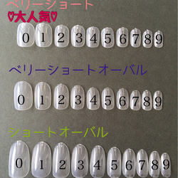 【数量限定】Mollukana NAIL 5枚目の画像