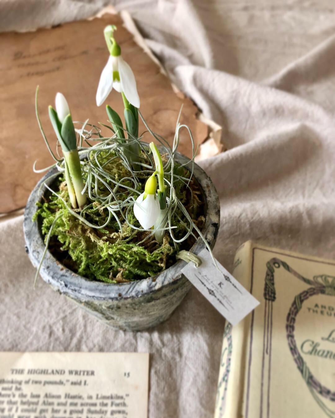 専用出品　スノードロップガーデン雑貨おまとめセット snowdropの寄せ植え＊ その他インテリア雑貨 *orlaya * 通販 6858558