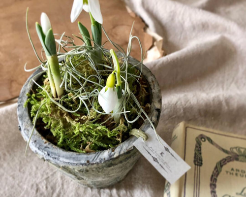 1_a116f5d686de43c5acac37eaed1b