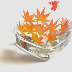 [免運費] MOMIJI Rock Glass (紅色) 第2張的照片