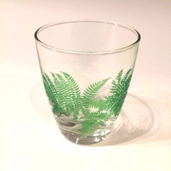 fern GLASS（Green) 3枚目の画像